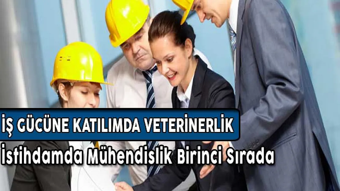 İş Gücüne Katılımda Veterinerlik, İstihdamda Mühendislik Birinci Sırada