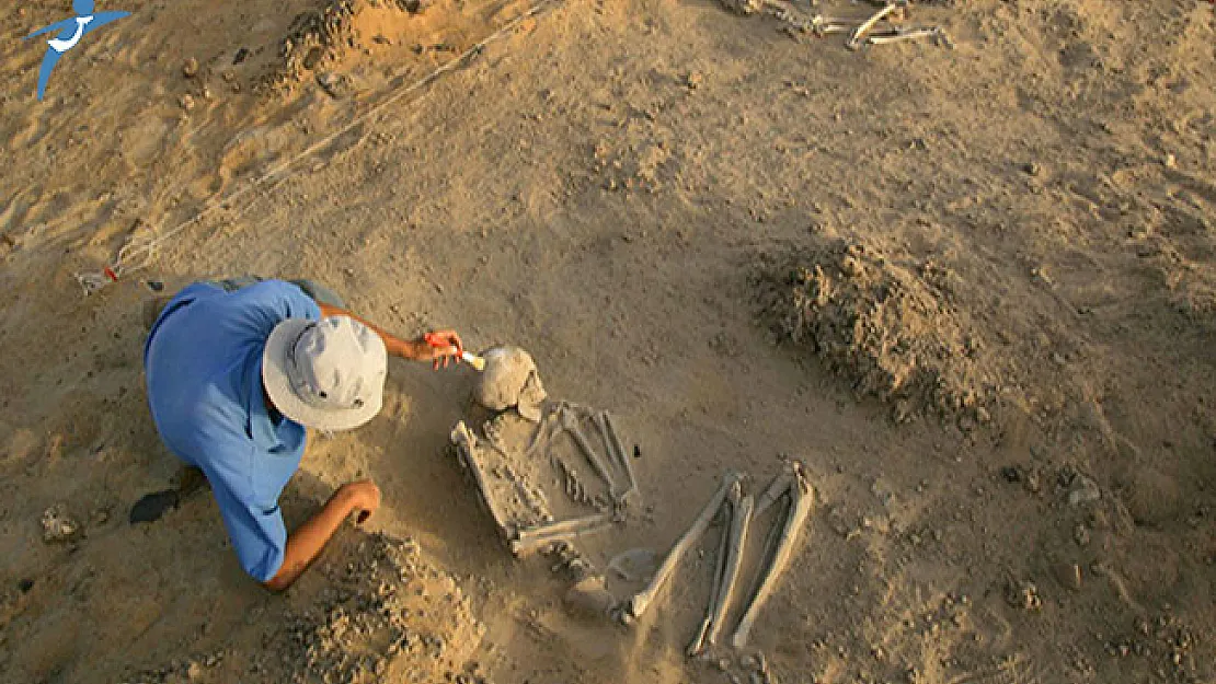 İş İmkanı Bulamayan Arkeolog ve Sanat Tarihçisi Sayısı Belli Oldu