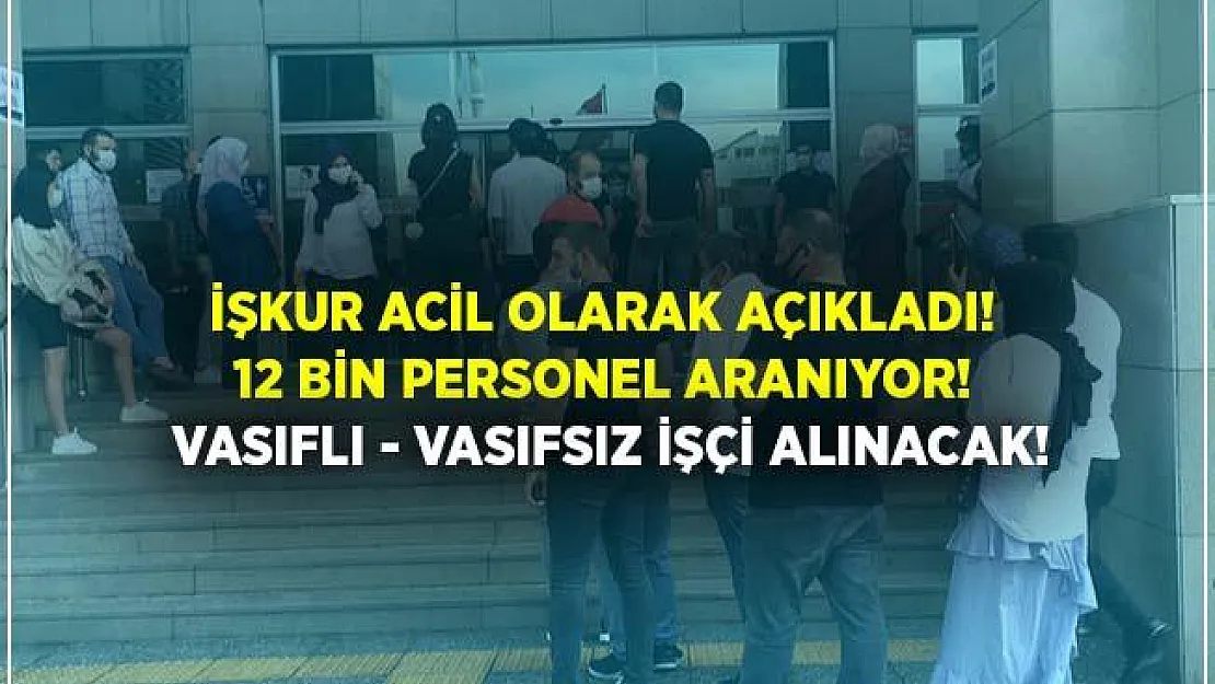 İŞKUR acil yayımladı! Vasıflı vasıfsız en az ilköğretim mezunu 12 bin eleman aranıyor! Başvuru şartları açıklandı!