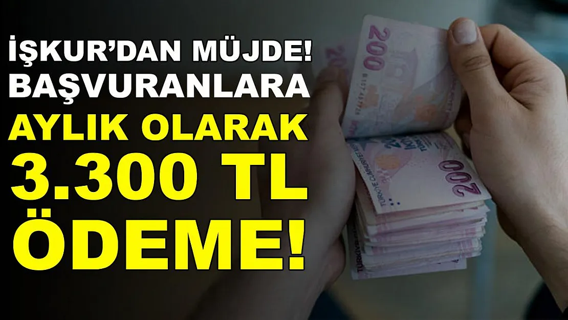İŞKUR başvuranlara aylık olarak 3 bin 300 TL ödeme yapacak!