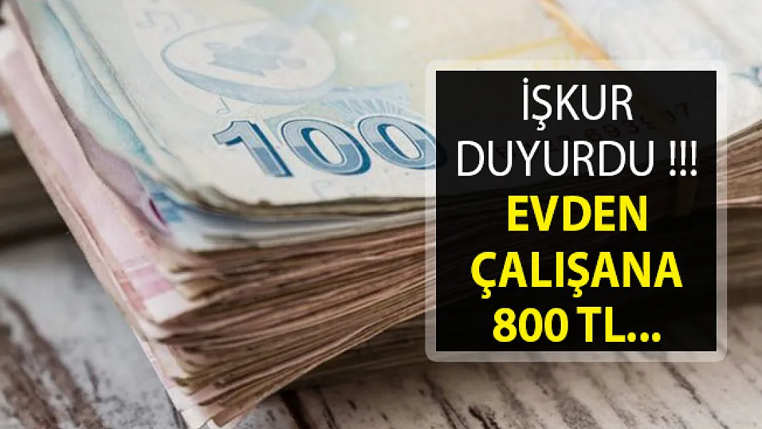 İŞKUR Duyurdu- Evden Çalışana 800 TL Verilecek
