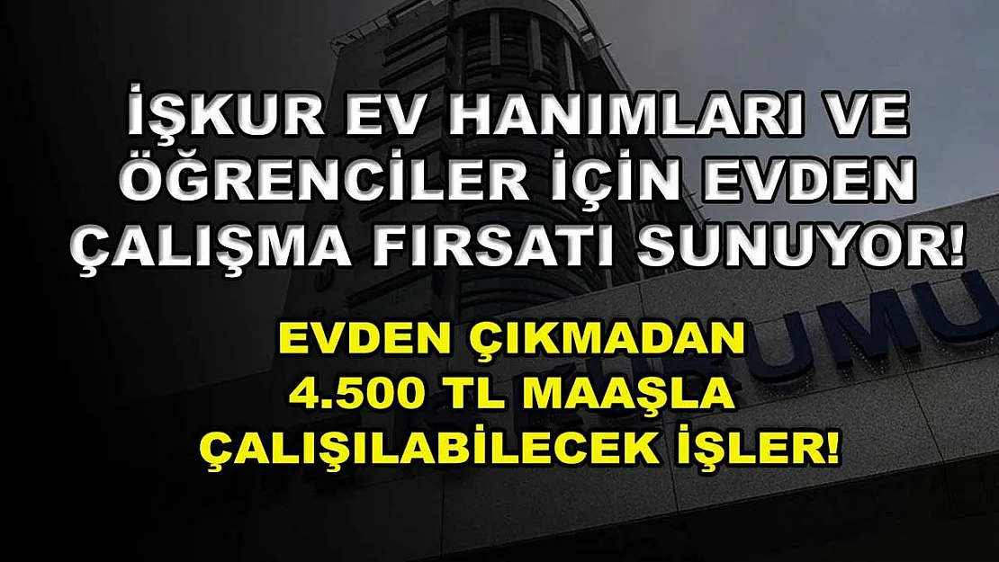 İŞKUR ev hanımları ve öğrenciler için evden çalışma fırsatı sunuyor! Evden çıkmadan 4.500 TL maaşla çalışılabilecek işler!