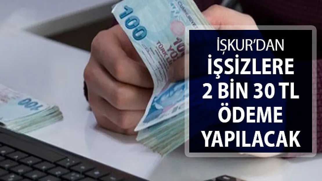 İŞKUR İşsizlere 2 Bin 30 TL Ödeme Yapacak !
