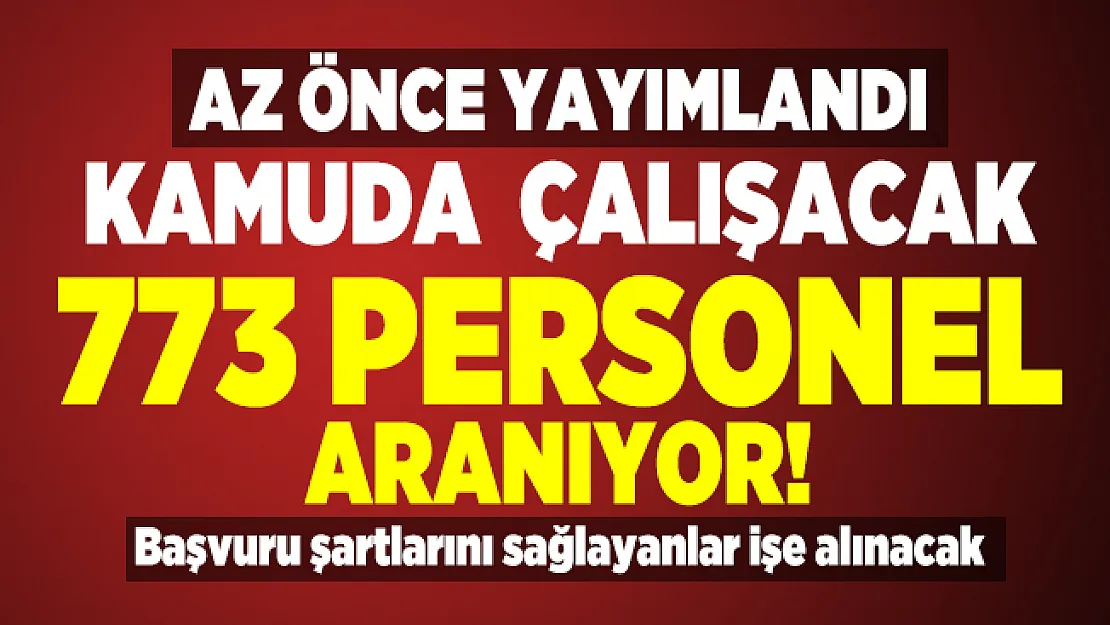 İŞKUR üzerinden kamuda KPSS'li KPSS'siz çalışacak 773 personel aranıyor! Başvuru şartlarını sağlayanlar işe alınacak