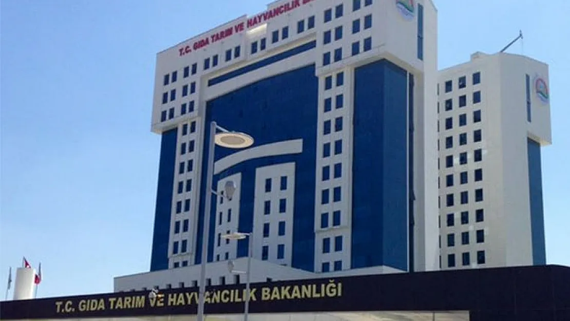 İŞKUR üzerinden kamuya 3 bin 80 işçi alımı yapılacak!