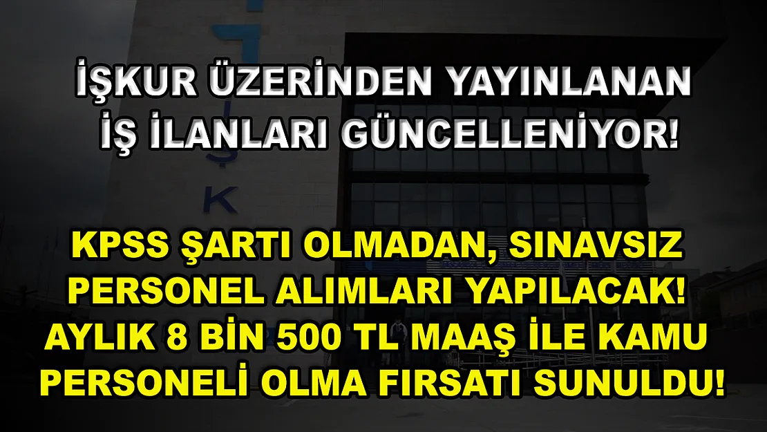 İŞKUR Üzerinden Yayınlanan İş İlanları Güncelleniyor! KPSS Şartı Olmadan, Sınavsız Personel Alımları Yapılacak! Aylık 8 bin 500 TL Maaş ile Kamu Personeli Olma Fırsatı Sunuldu!