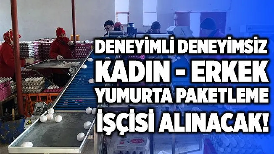 İŞKUR Yumurta paketleme işçisi alımı! Paketleme işçisi alımı 2020! İŞKUR paketleme işçi alımı