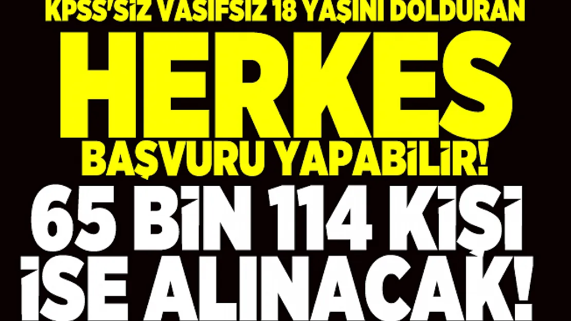 İŞKUR'dan 65 bin 114 kişiye iş imkanı! Tüm başvurular İŞKUR online iş başvurusu ekranı üzerinden yapılacak!