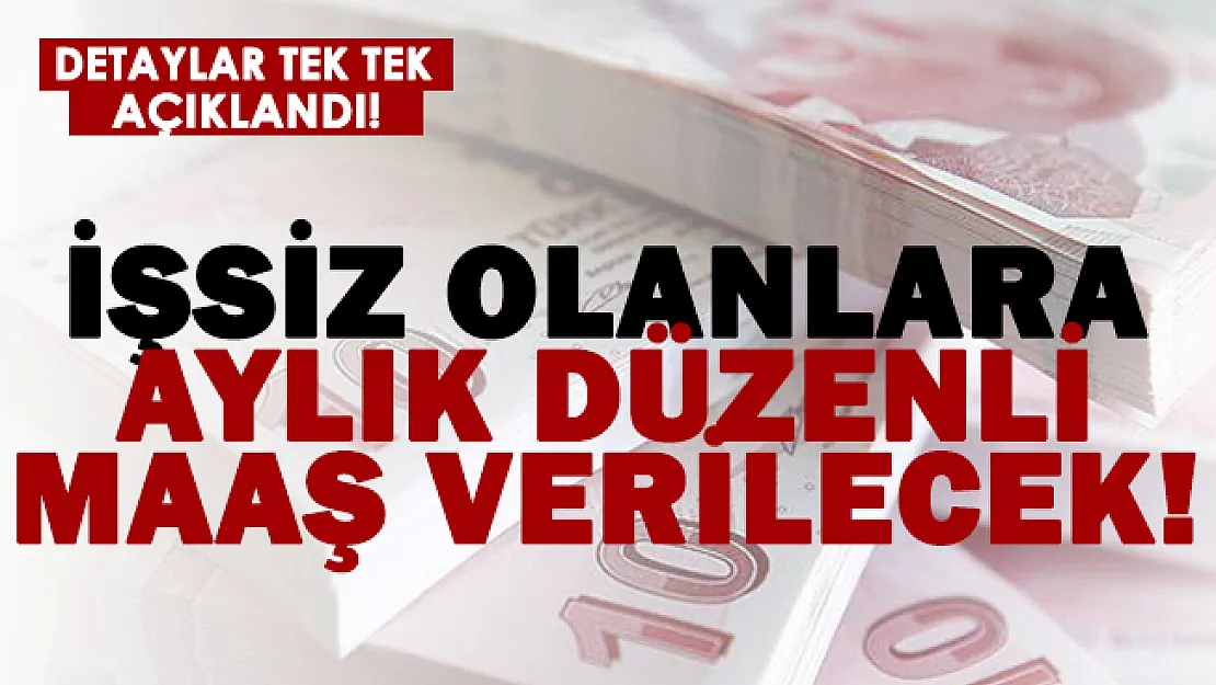 Bu şartları taşıyanlara İŞKUR'dan aylık düzenli maaş!