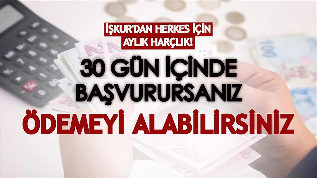 İŞKUR'dan herkes için aylık harçlık! 30 gün içinde başvurursanız ödemeyi alabilirsiniz