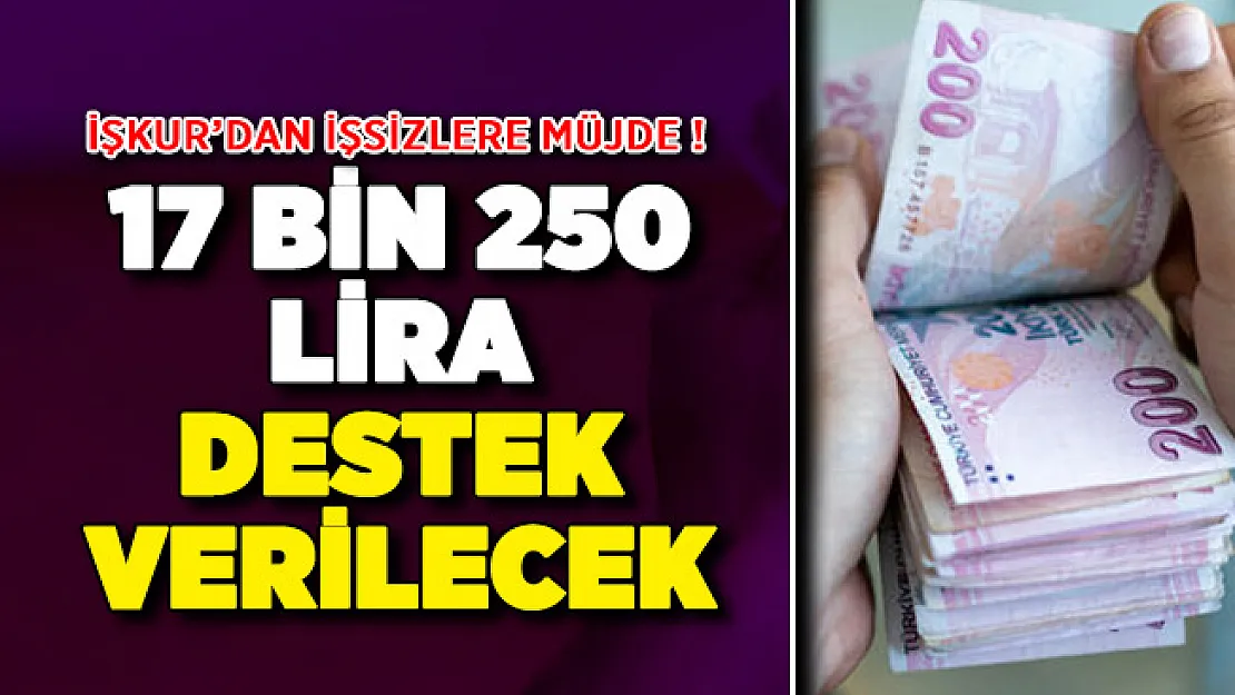 İŞKUR'dan İşsiz Vatandaşlara 17 Bin 250 Lira Destek ! Kimler Yararlanabilir?