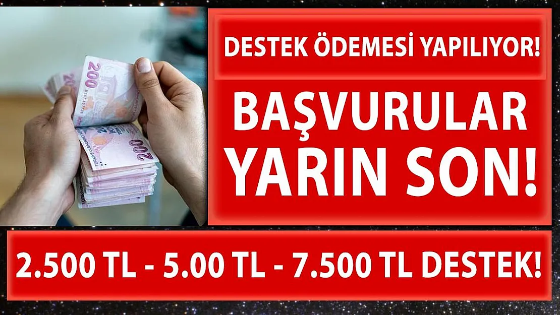 İŞKUR'dan üniversitelilere 2.500 TL destek! Başvurular yarın sona eriyor!