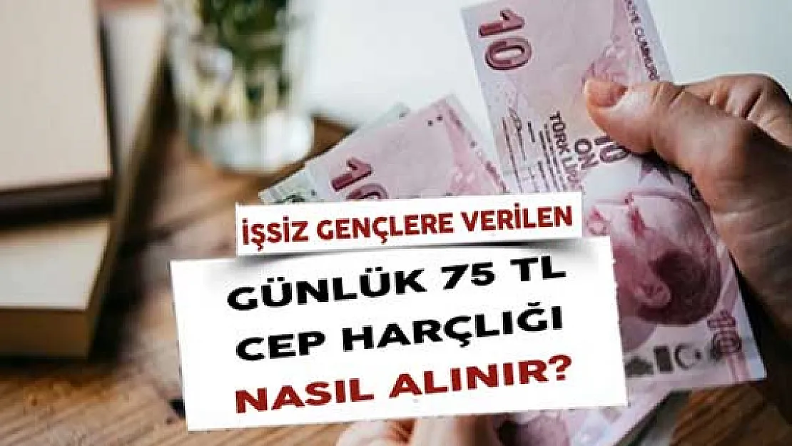 İşsiz Gençlere Verilen Günlük 75 TL Cep Harçlığı Nasıl Alınır?