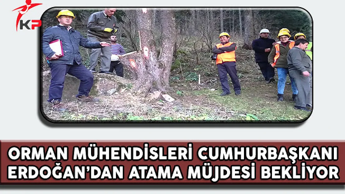 İşsiz Orman Mühendisleri Cumhurbaşkanı Erdoğan'dan Atama Müjdesi Bekliyor
