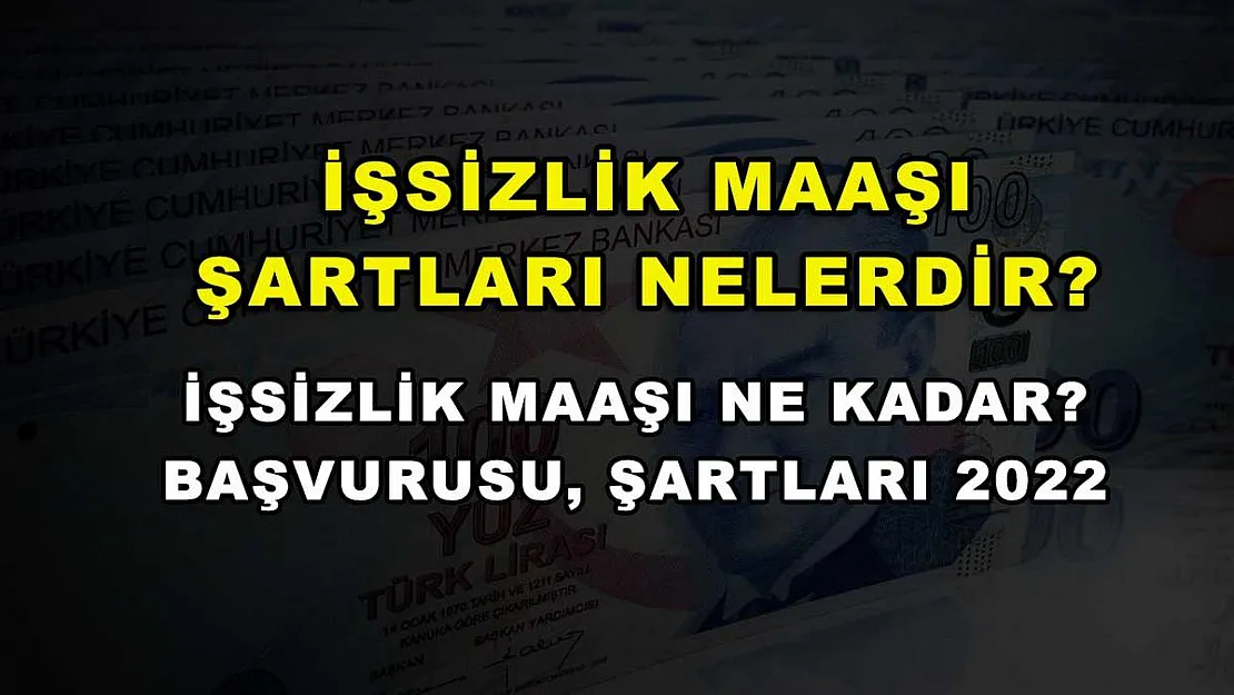 İşsizlik Maaşı Şartları Nelerdir? İşsizlik Maaşı Ne Kadar? Başvurusu, Şartları 2022