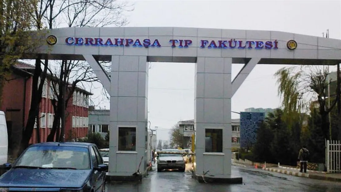 İstanbul Üniversitesi Cerrahpaşa Rektörlüğü Öğretim Üyesi Alıyor!
