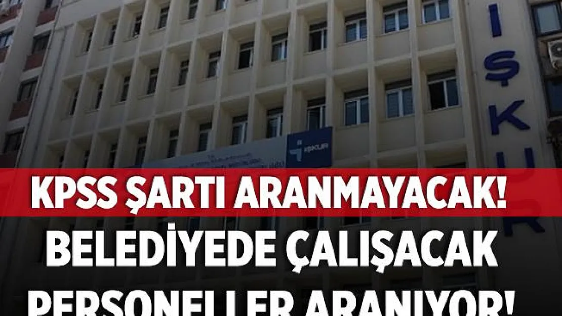 İstanbul'da belediye çalışacak evrak dağıtım personeli, kültürel hizmet görevlisi, şoför ve veteriner sağlık teknisyeni alınıyor! KPSS şartı yok!