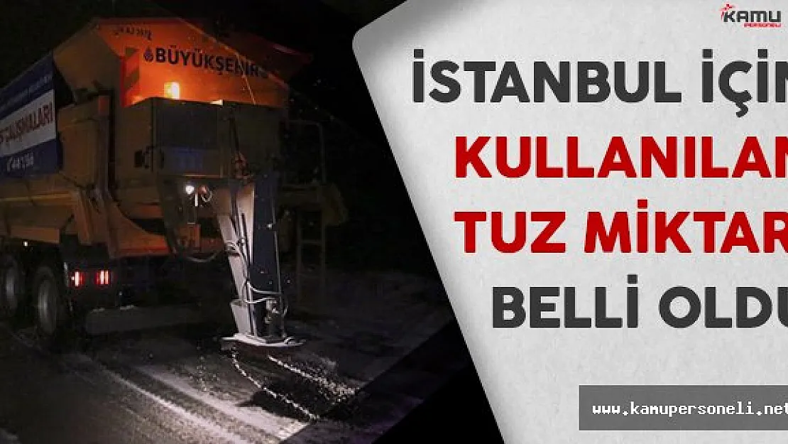 İstanbul'da Yoğun Kar Yağışı İçin Kullanılan Tuz Miktarı Belli Oldu