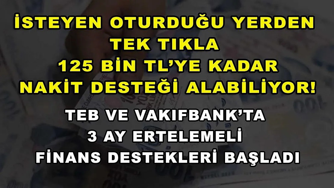 İsteyen oturduğu yerden tek tıkla 125 bin TL'ye kadar nakit desteği alabiliyor! TEB ve Vakıfbank'ta 3 ay ertelemeli finans destekleri başladı