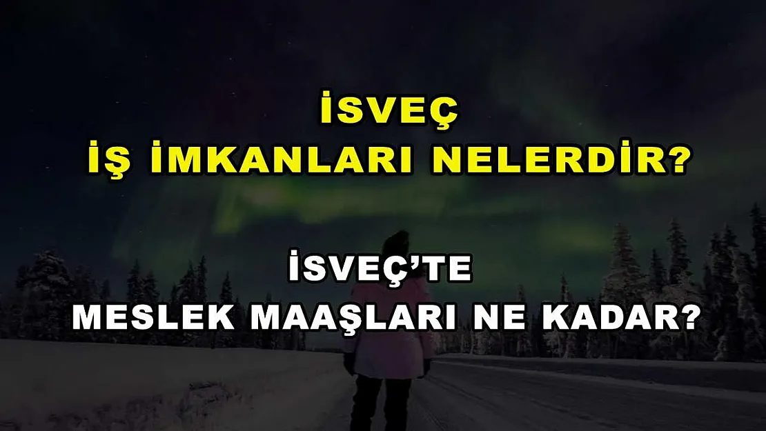 İsveç İş İmkanları Nelerdir? İsveç'te Meslek Maaşları Ne Kadar?