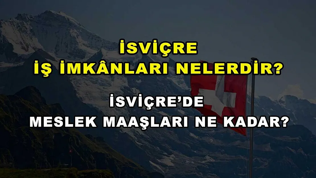 İsviçre İş İmkanları Nelerdir? İsviçre'de Meslek Maaşları Ne Kadar?