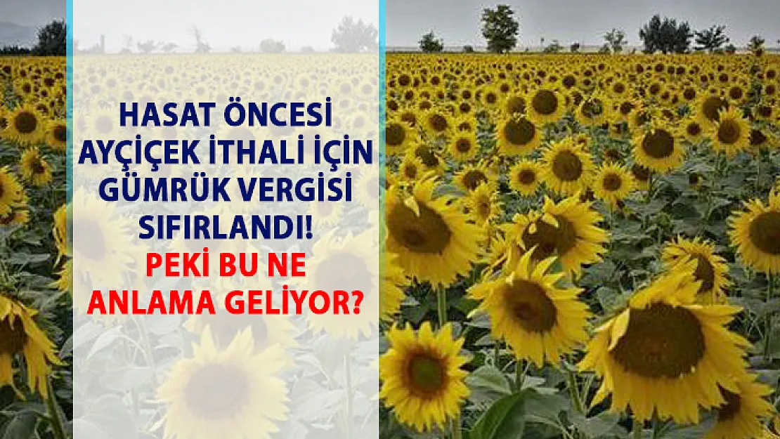 İthal ayçiçek için sıfır gümrükle ithalat izni çıkarıldı!