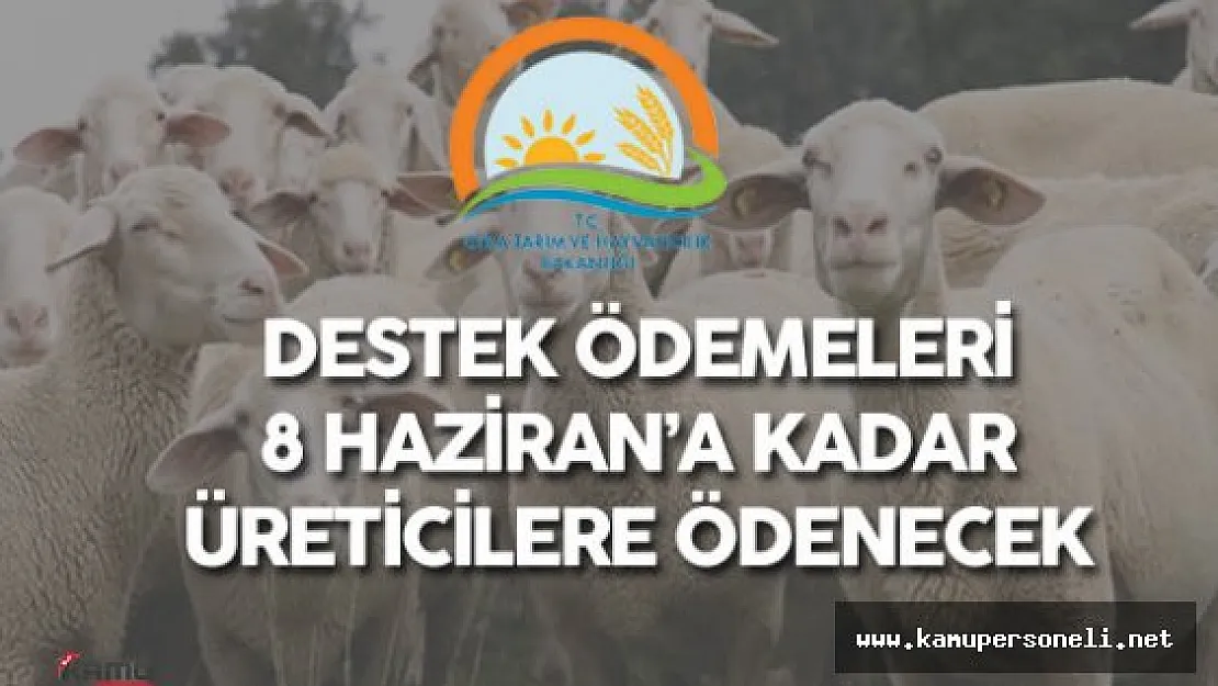 İzmir İl Müdürlüğü 2015 Yılı Anaç Koyun Keçi Destekleri Hakkında Duyuru Yaptı