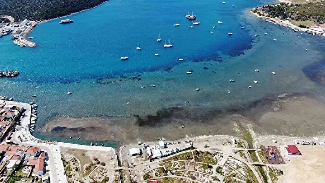 İzmir'de Korkutan Görüntü! 30 Metreyi Buldu! Deprem Habercisi Mi?