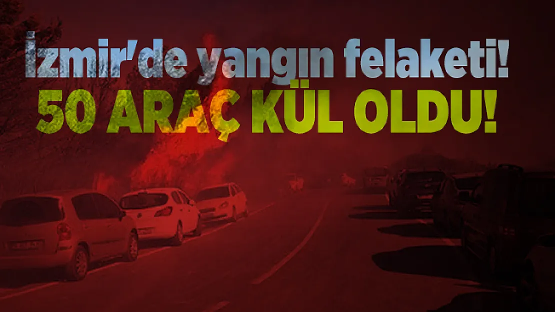 İzmir'de yangın felaketi! 50 araç kül oldu!