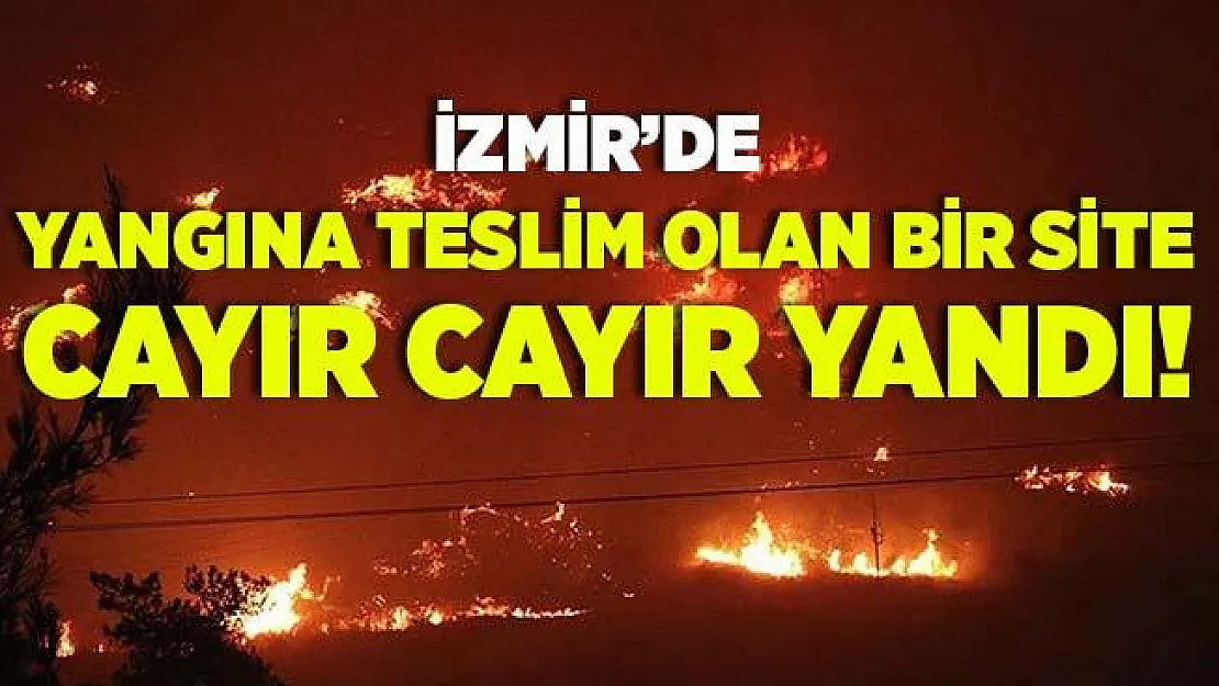 İzmir'deki orman yangını büyüyor! 79 haneli site küle döndü!