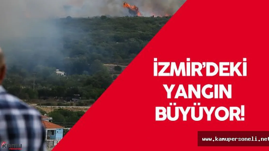 İzmir'deki Orman Yangını Rüzgarın Etkisiyle Büyüyor