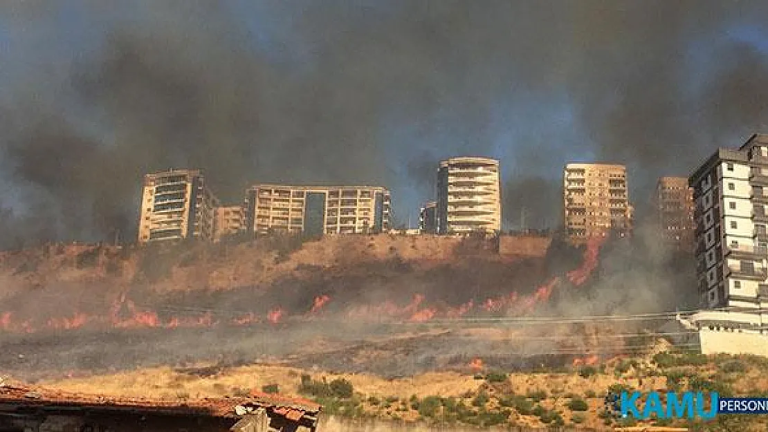 İzmir'in Bayraklı İlçesindeki Ormanlık Alanda Yangın Çıktı! Ekiplerin Havadan Ve Karadan Müdahalesi Devam Ediyor