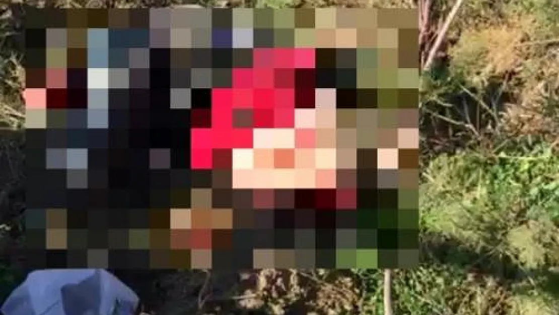 İzmir'in Bornova ilçesinde motosiklet kazası! 2 ölü