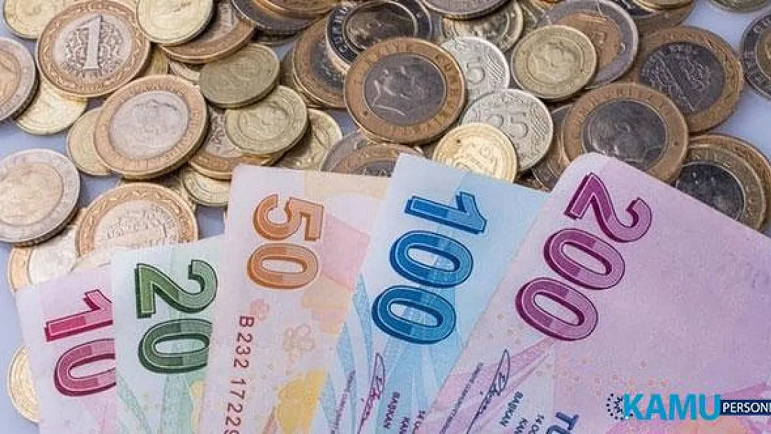 İzmir'in Dikili İlçesinde Saka Kuşu Yakalayanlara 81 Bin 795 Lira Cezası Verildi!