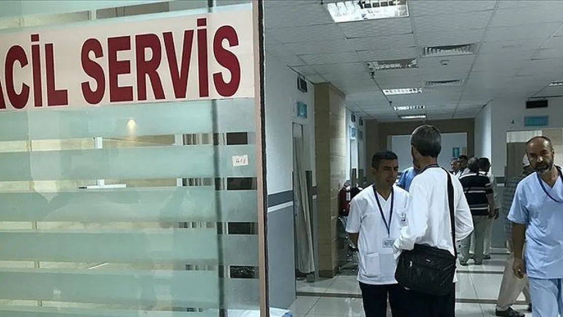 Kabus bu yaz da geri döndü: Bağ bahçeye girerken çok dikkat edin! Bu hastalığa yakalanan hayatını kaybediyor