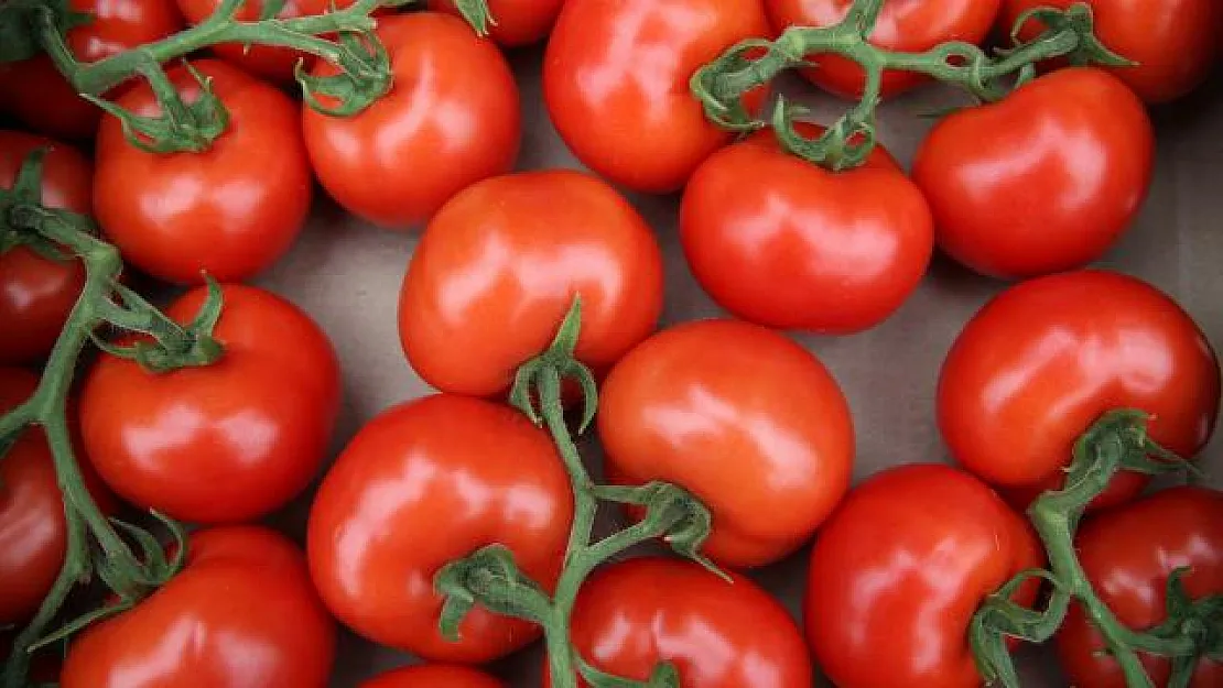 Kahvaltılarınızda ve salatalarınızda domatesi artık unutun! Tane ile satılıyor.. 1 kg domates fiyatı şoke etti
