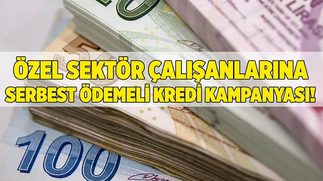 Kamu bankası duyurdu! Özel sektör çalışanlarına serbest ödemeli kredi kampanyası!