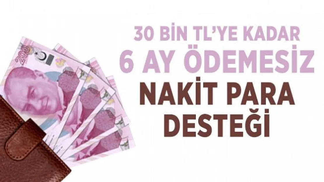Kamu bankası resmen duyurdu! 30 bin TL'ye kadar 6 ay ödemesiz nakit para desteği