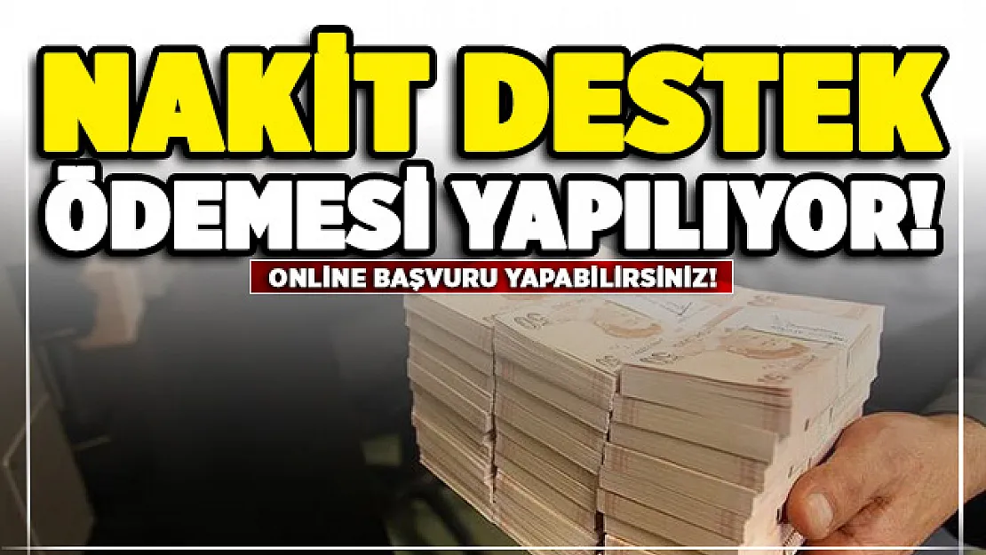 Kamu bankasından nakit destek kampanyası! Online başvuru imkanı var