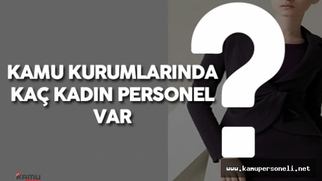 Kamu Kurum ve Kuruluşları İçerisinde Kaç Kadın Personel Çalışıyor?