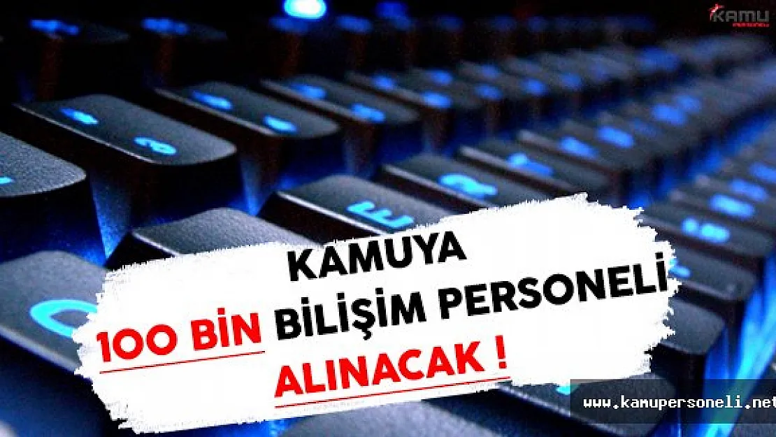 Kamu Kurum ve Kuruluşlarına 100 Bin Bilişim Personeli Alınacak