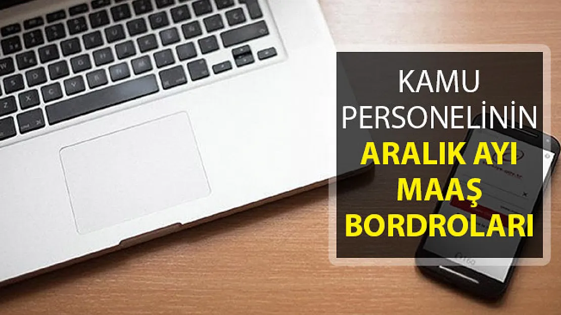 Kamu Personelinin Aralık Ayı Maaş Bordroları Yayımlandı ! e-Bordro Sorgulama Ekranı