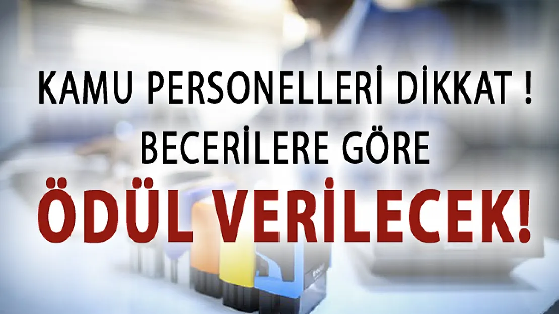 Kamu Personellerinin Becerilerine Göre Ödül Verilecek!