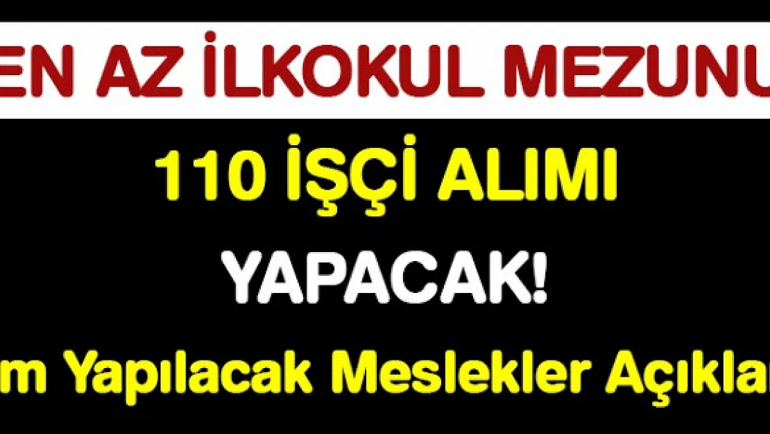 Kamuya 110 daimi kamu işçisi alımı başvuruları başladı!