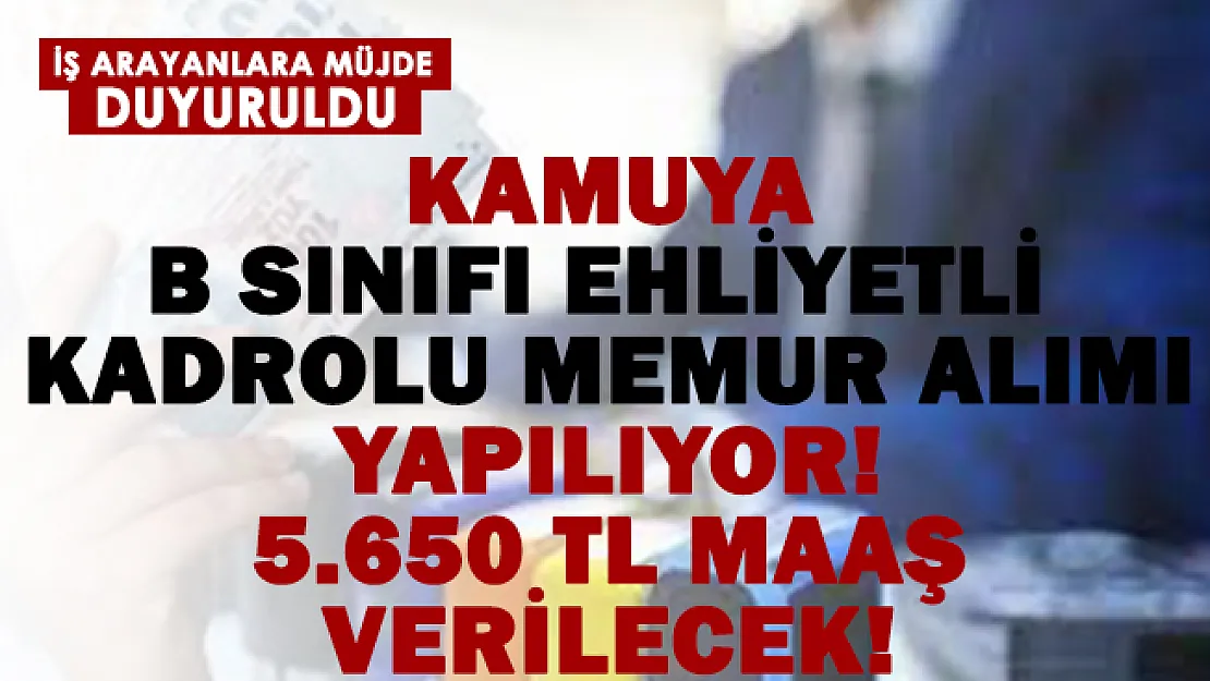 Kamuya B sınıfı ehliyetli kadrolu memur alımı yapılıyor! 5.650 TL maaş verilecek!