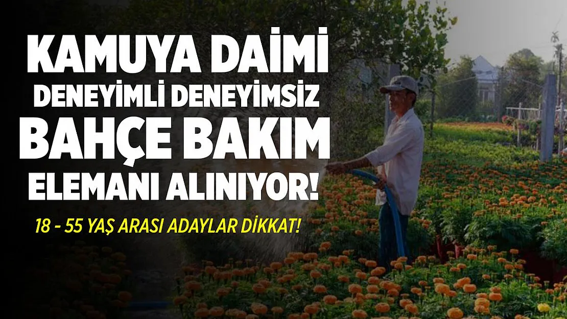 Kamuya daimi deneyimli deneyimsiz bahçe bakım elemanı alınıyor! 18 - 55 yaş arası adaylar başvurabilir!