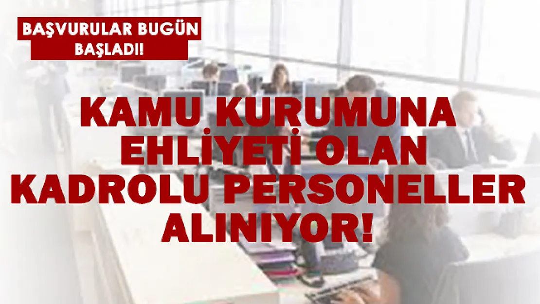 Kamuya ehliyeti olan kadrolu personellerin alımı bugün başladı! Bu şartı taşıyan herkes başvurabilir