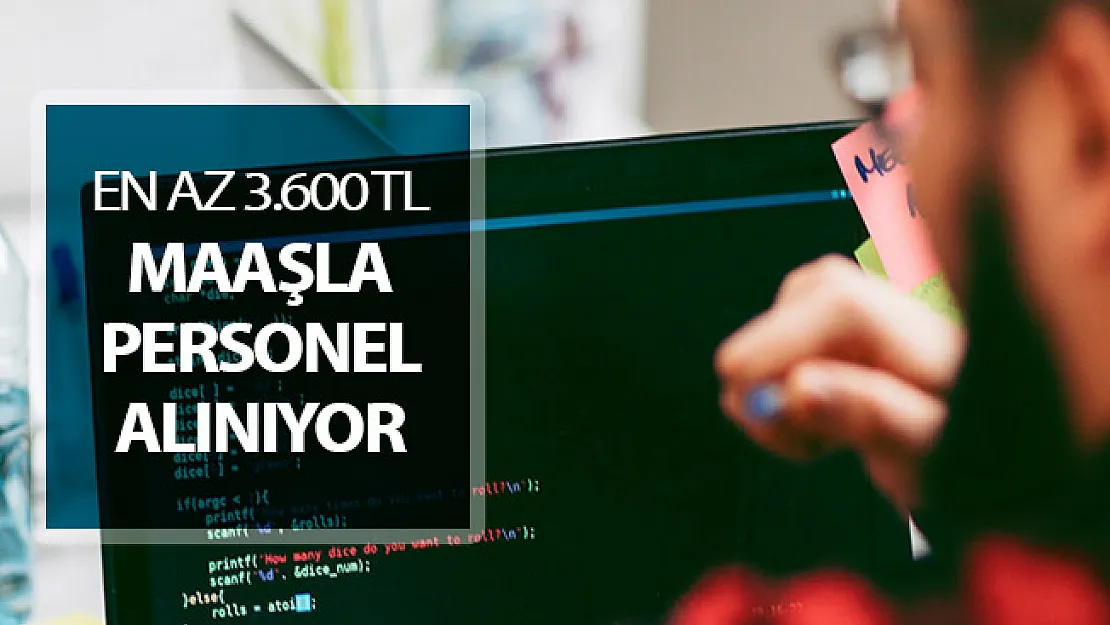 Kamuya En Az 3 Bin 600 TL Maaşla Kamu Personeli Alımı Yapılıyor