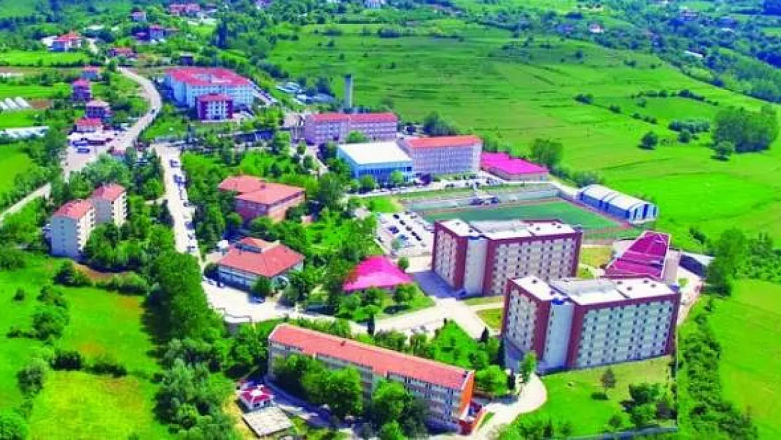 Kamuya En Az Lise Mezunu Kamu Personeli Alımı Yapılıyor