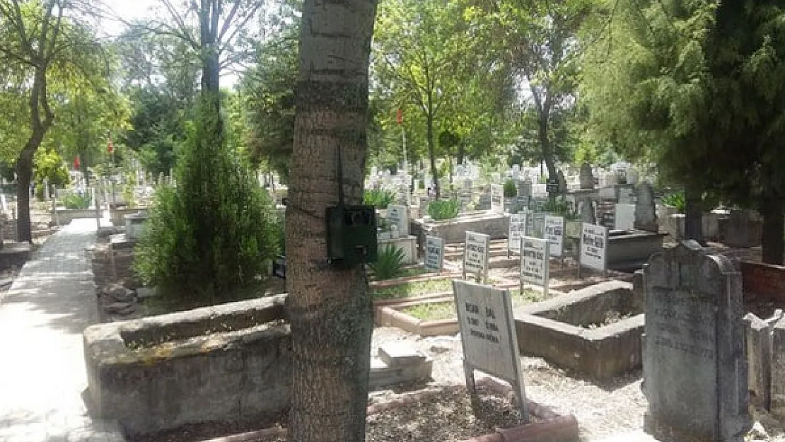 Kamuya erkek mezarlık görevlisi alınacak! Deneyim aranmıyor!